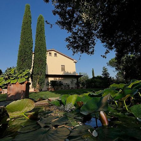 Agriturismo Le Vallette Bibbona Extérieur photo