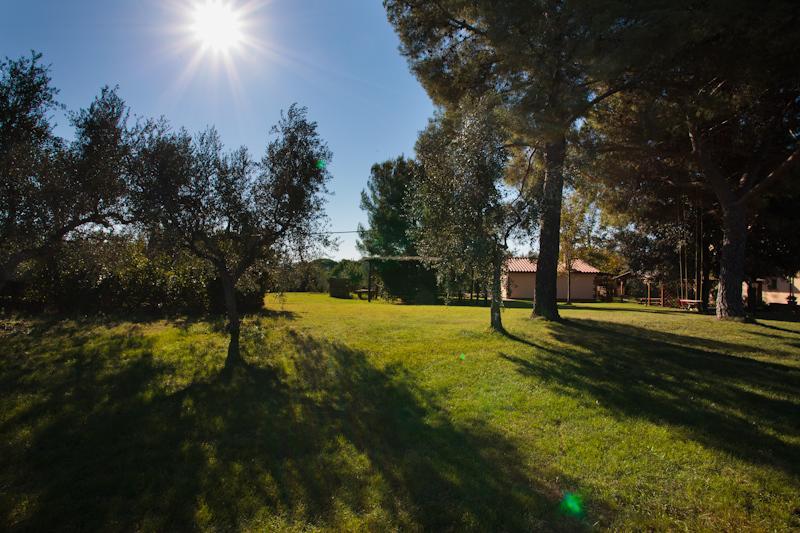 Agriturismo Le Vallette Bibbona Extérieur photo