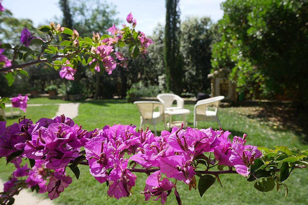 Agriturismo Le Vallette Bibbona Extérieur photo
