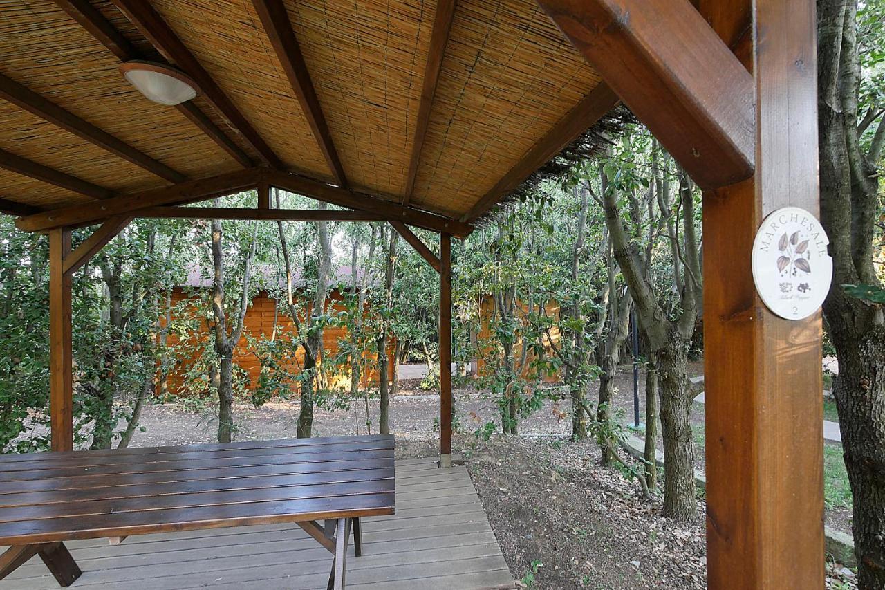 Agriturismo Le Vallette Bibbona Extérieur photo